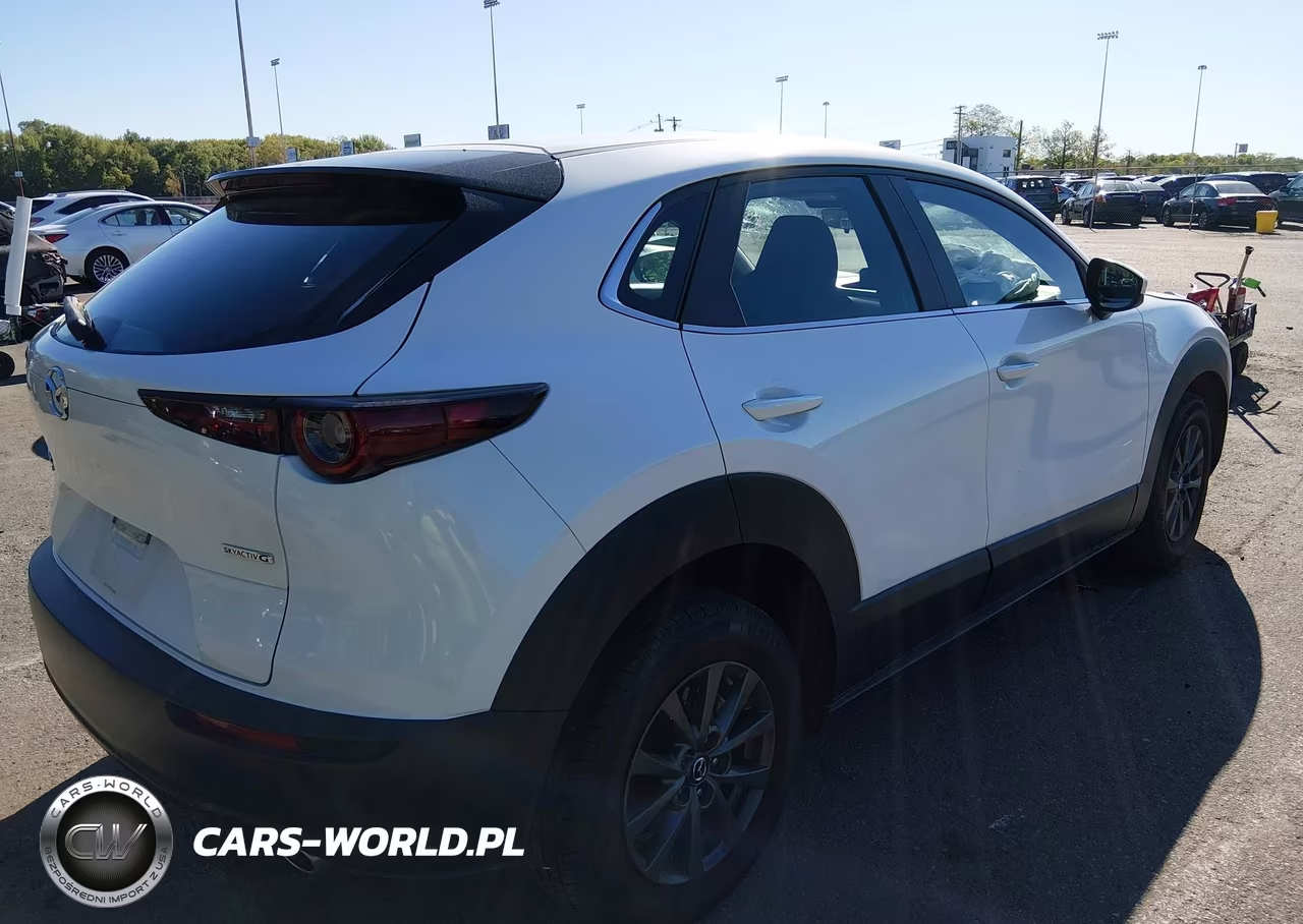 2020 Mazda Cx-30 VIN:3MVDMBBLXLM116704 - 4
