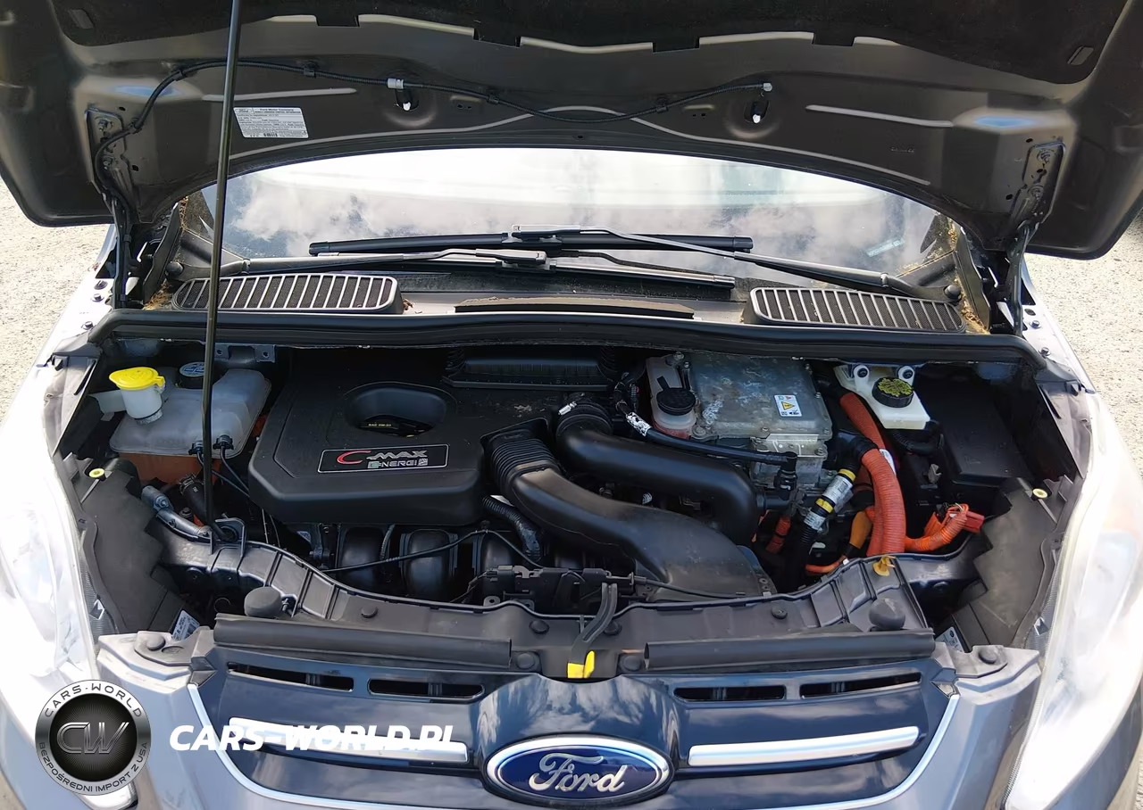 2013 Ford C-Max Energi Sel VIN:1FADP5CU1DL531033 - 10