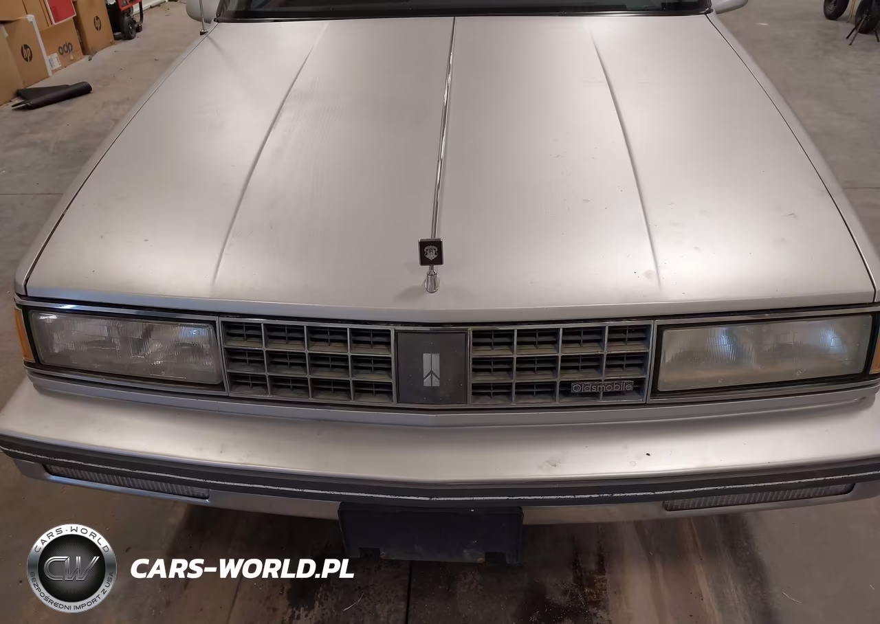 1987 Oldsmobile 98 Regency Brougham VIN:1G3CW5137H1329706 - 6
