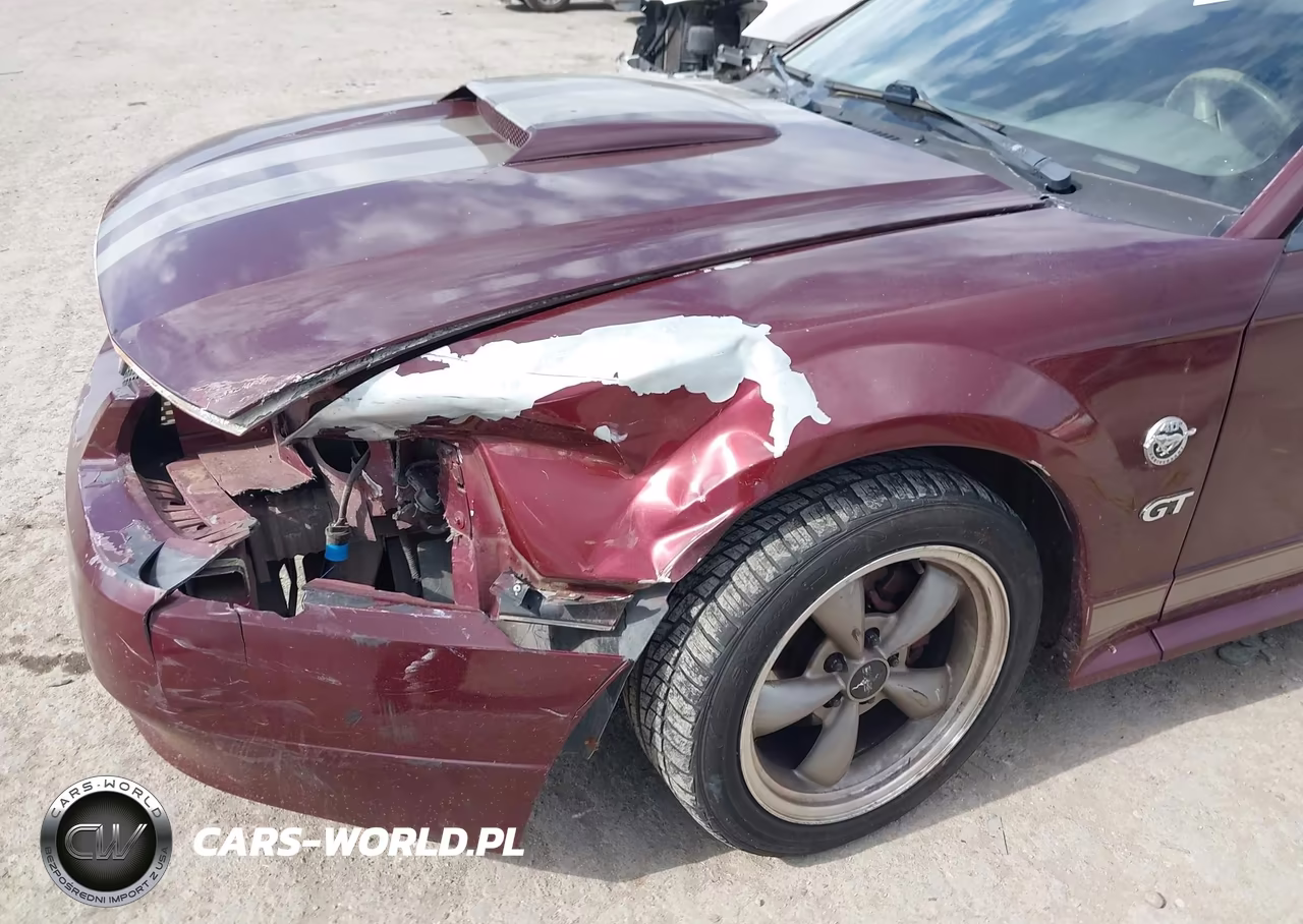 2004 Ford Mustang Gt VIN:1FAFP42X74F130373 - 6