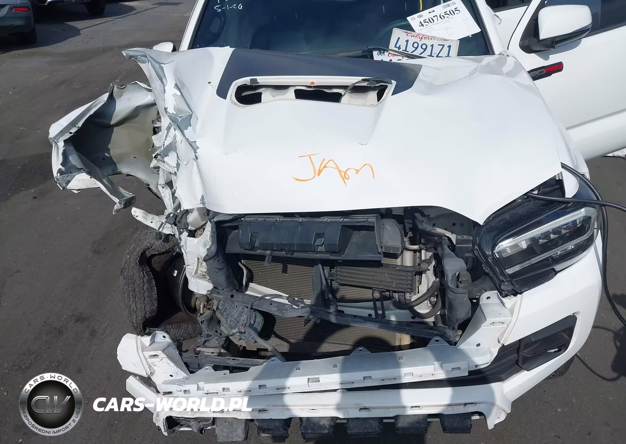 2017 Toyota Tacoma Trd Pro VIN:5TFCZ5AN8HX114938 - 10