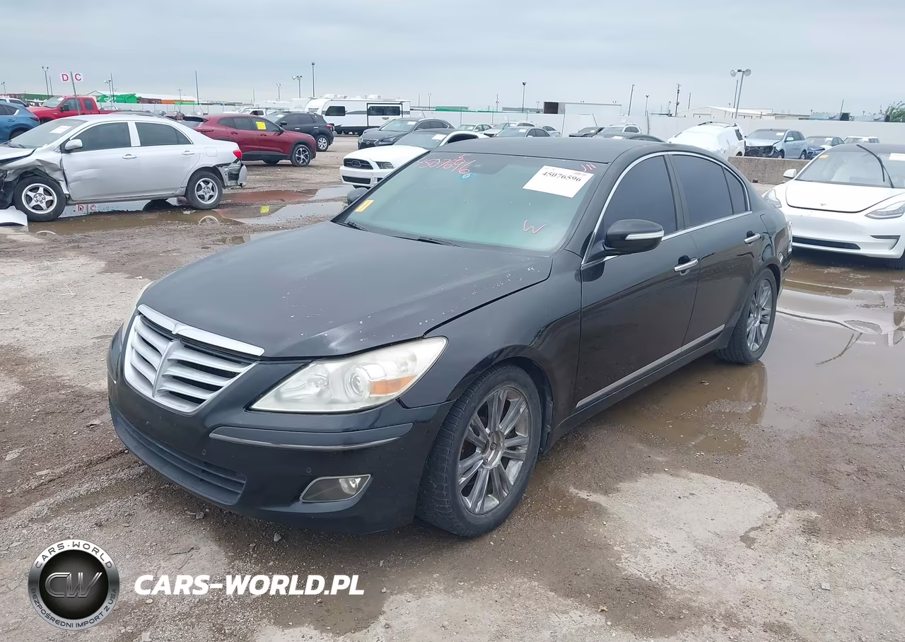 2009 Hyundai Genesis 4.6 VIN:KMHGC46FX9U042220 - 2