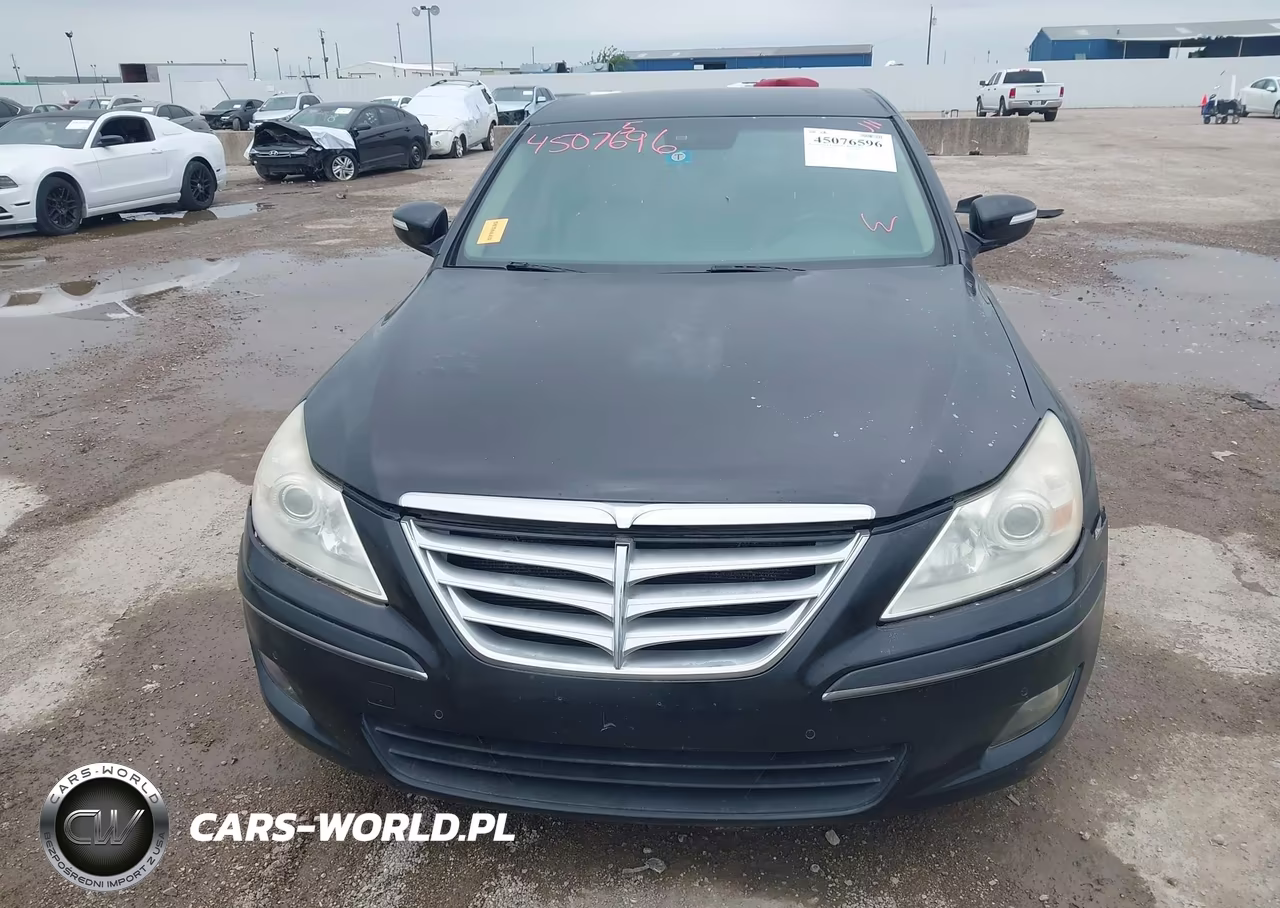 2009 Hyundai Genesis 4.6 VIN:KMHGC46FX9U042220 - 6