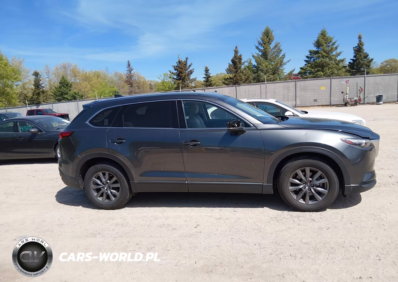 2022 Mazda Cx-9 Touring VIN:JM3TCBCY1N0607153 - 13
