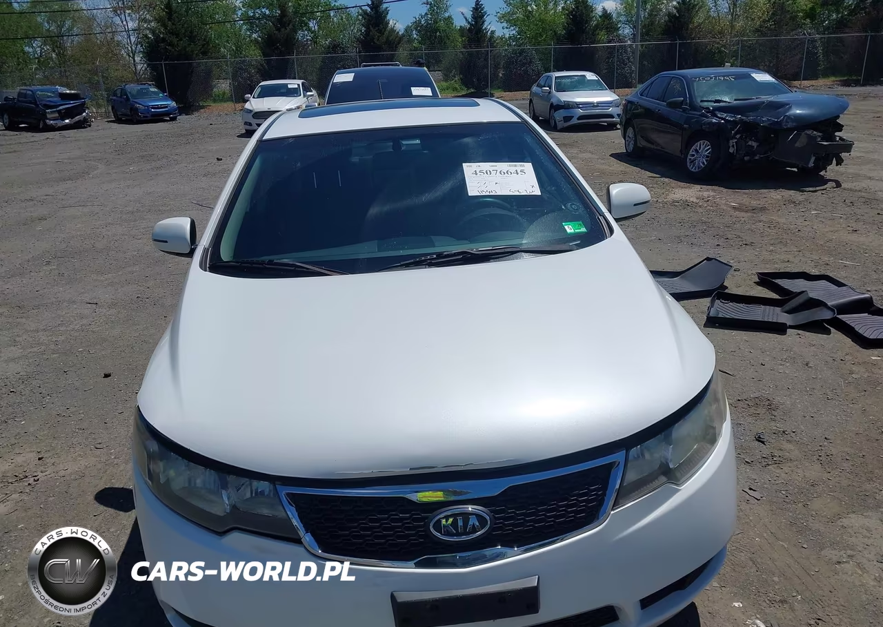 2012 Kia Forte Ex VIN:KNAFU4A24C5481879 - 13