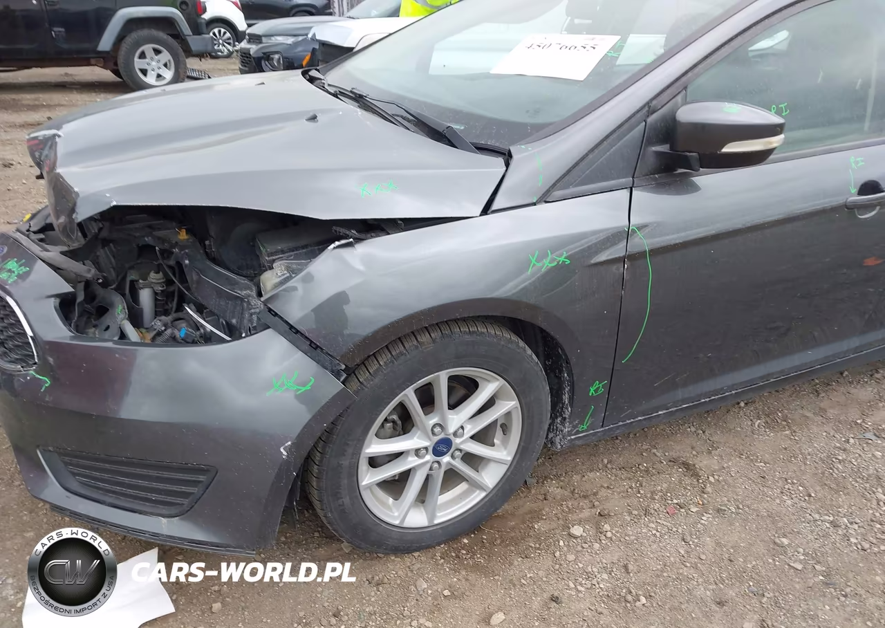 2018 Ford Focus Se VIN:1FADP3K27JL216169 - 17