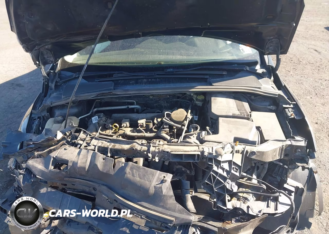 2014 Ford Focus Se VIN:1FADP3F29EL446795 - 10