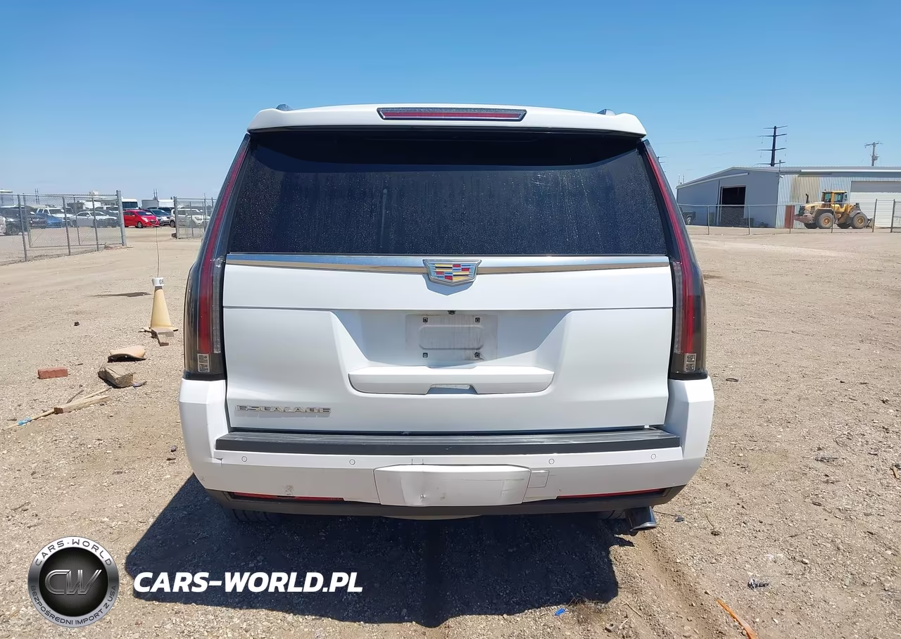 2016 Cadillac Escalade Luxury Collection VIN:1GYS4BKJ9GR167648 - 16