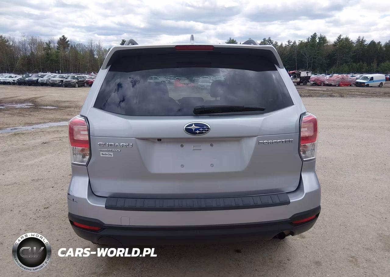 2018 Subaru Forester 2.5I Premium VIN:JF2SJAEC6JH520268 - 16