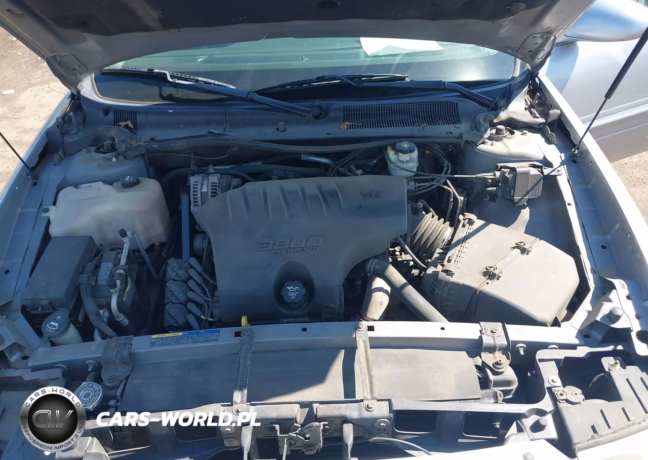 2004 Buick Lesabre Custom VIN:1G4HP54K74U244116 - 10