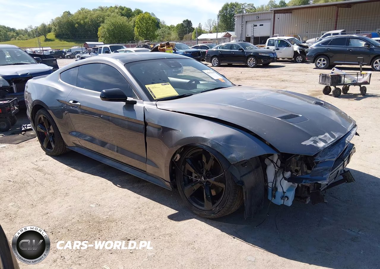 2022 Ford Mustang Ecoboost Fastback – zdjęcie 1 z 17