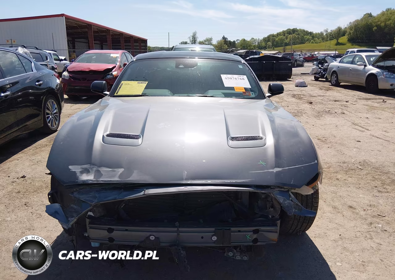 2022 Ford Mustang Ecoboost Fastback VIN:1FA6P8TH4N5148593 - 13