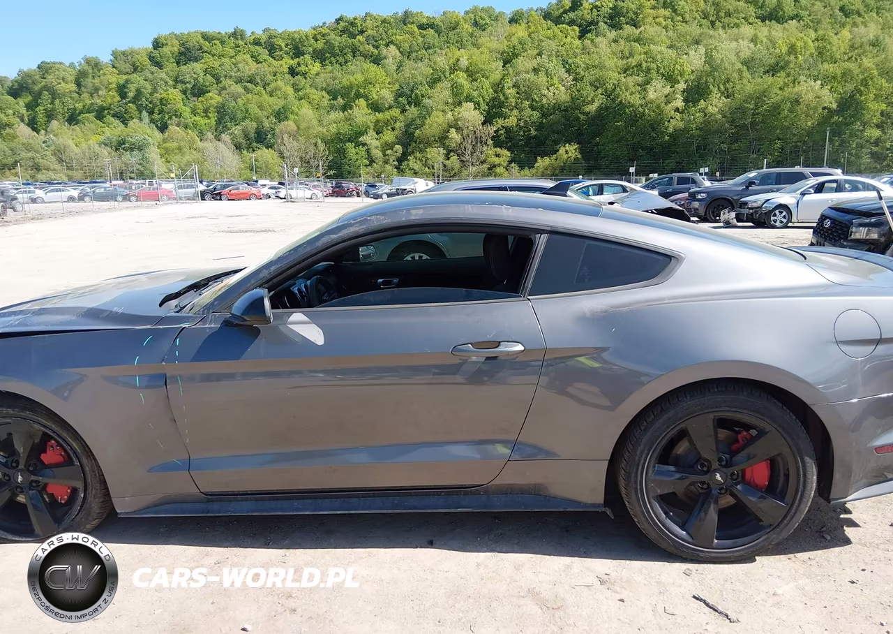 2022 Ford Mustang Ecoboost Fastback VIN:1FA6P8TH4N5148593 - 15