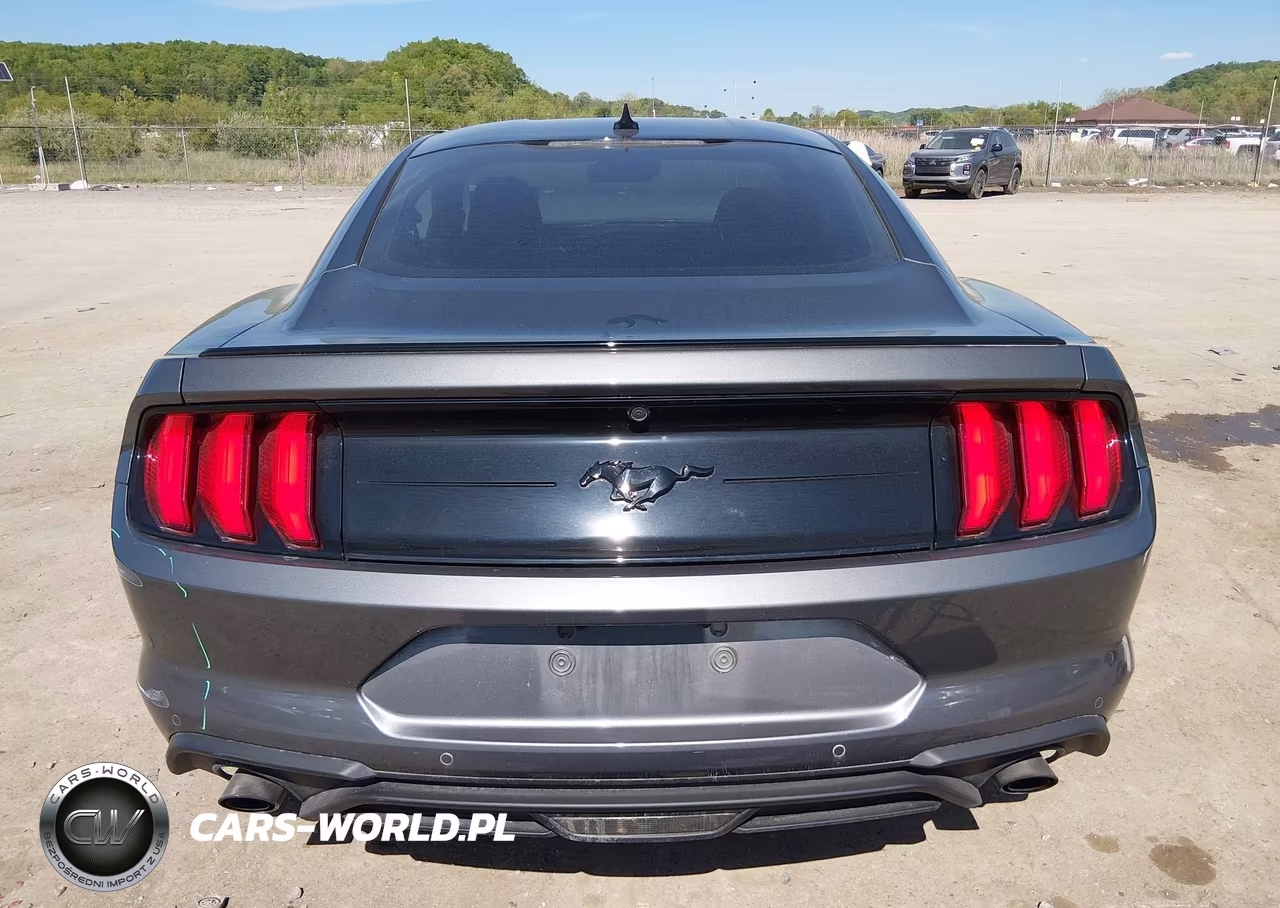 2022 Ford Mustang Ecoboost Fastback VIN:1FA6P8TH4N5148593 - 17