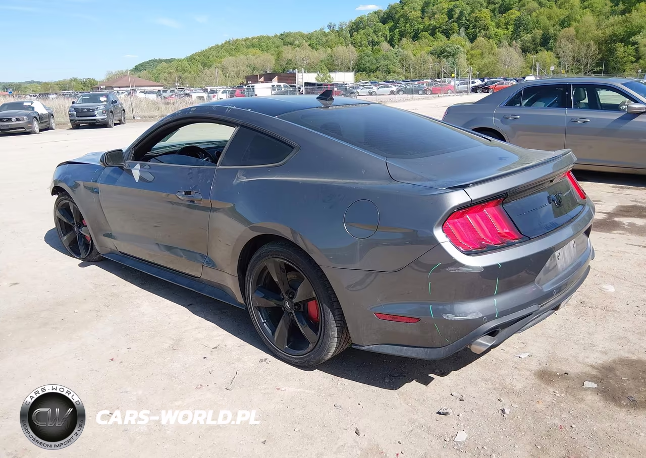 2022 Ford Mustang Ecoboost Fastback VIN:1FA6P8TH4N5148593 - 3