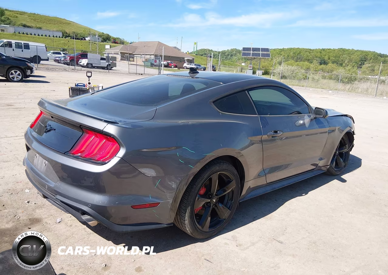 2022 Ford Mustang Ecoboost Fastback VIN:1FA6P8TH4N5148593 - 4