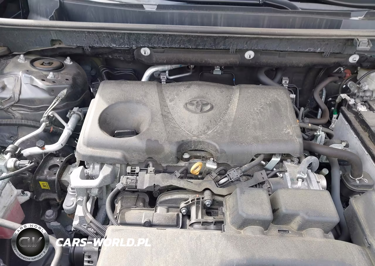 2024 Toyota Rav4 Xle VIN:2T3P1RFV8RW427941 - 10