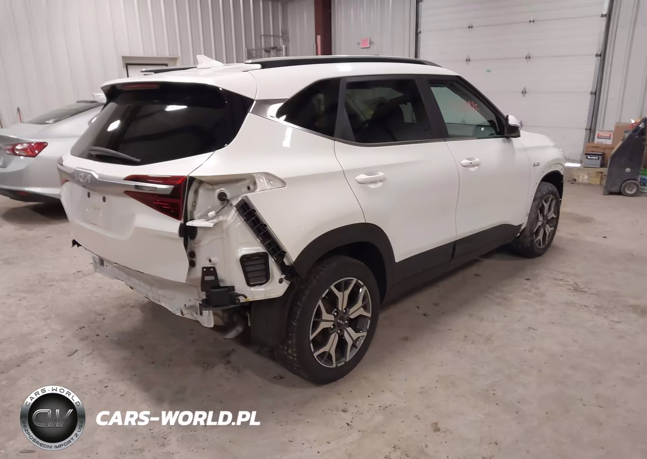 2022 Kia Seltos Ex VIN:KNDERCAA6N7263869 - 4