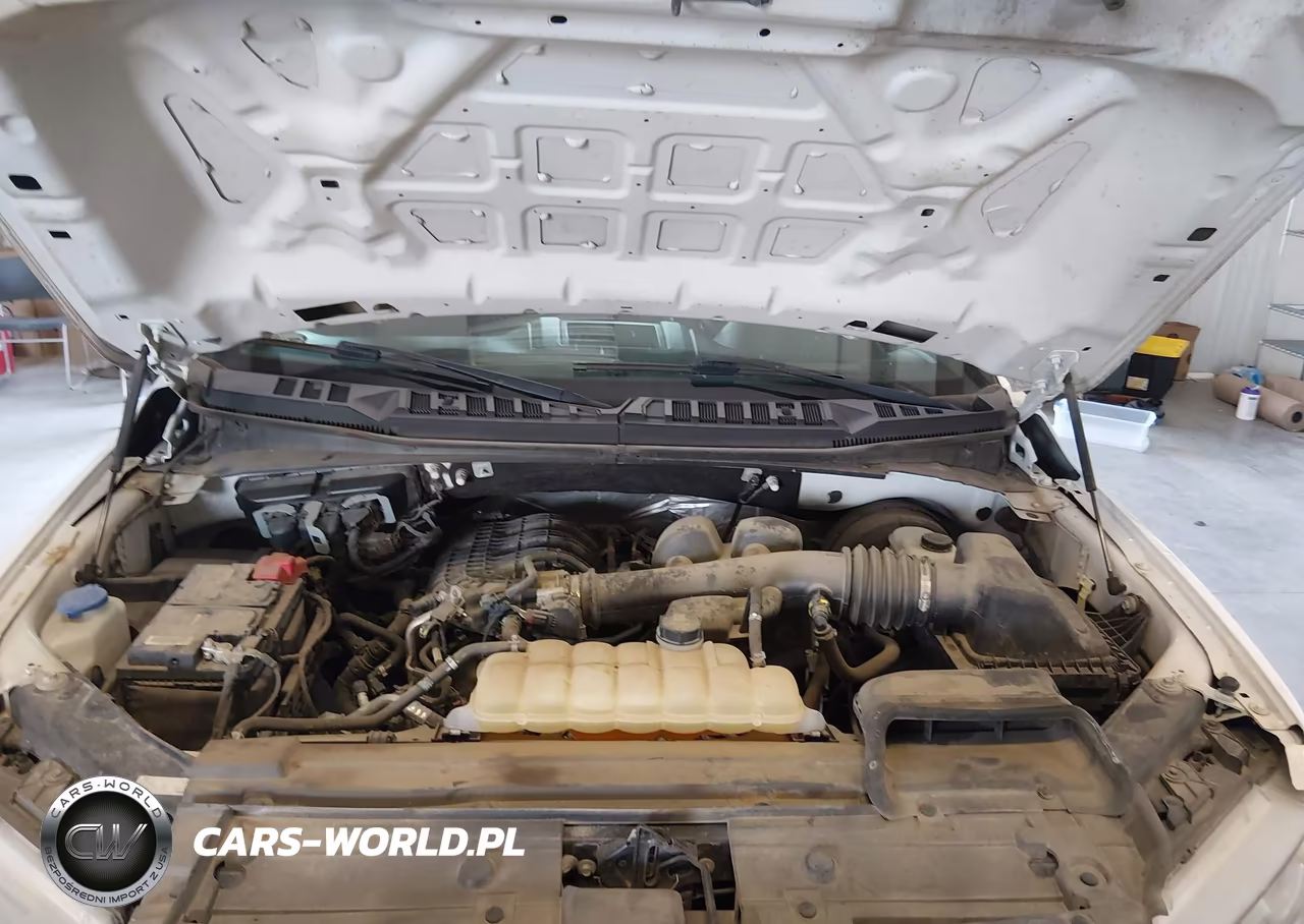 2019 Ford F-150 Xl VIN:1FTEX1CB5KKD85602 - 10
