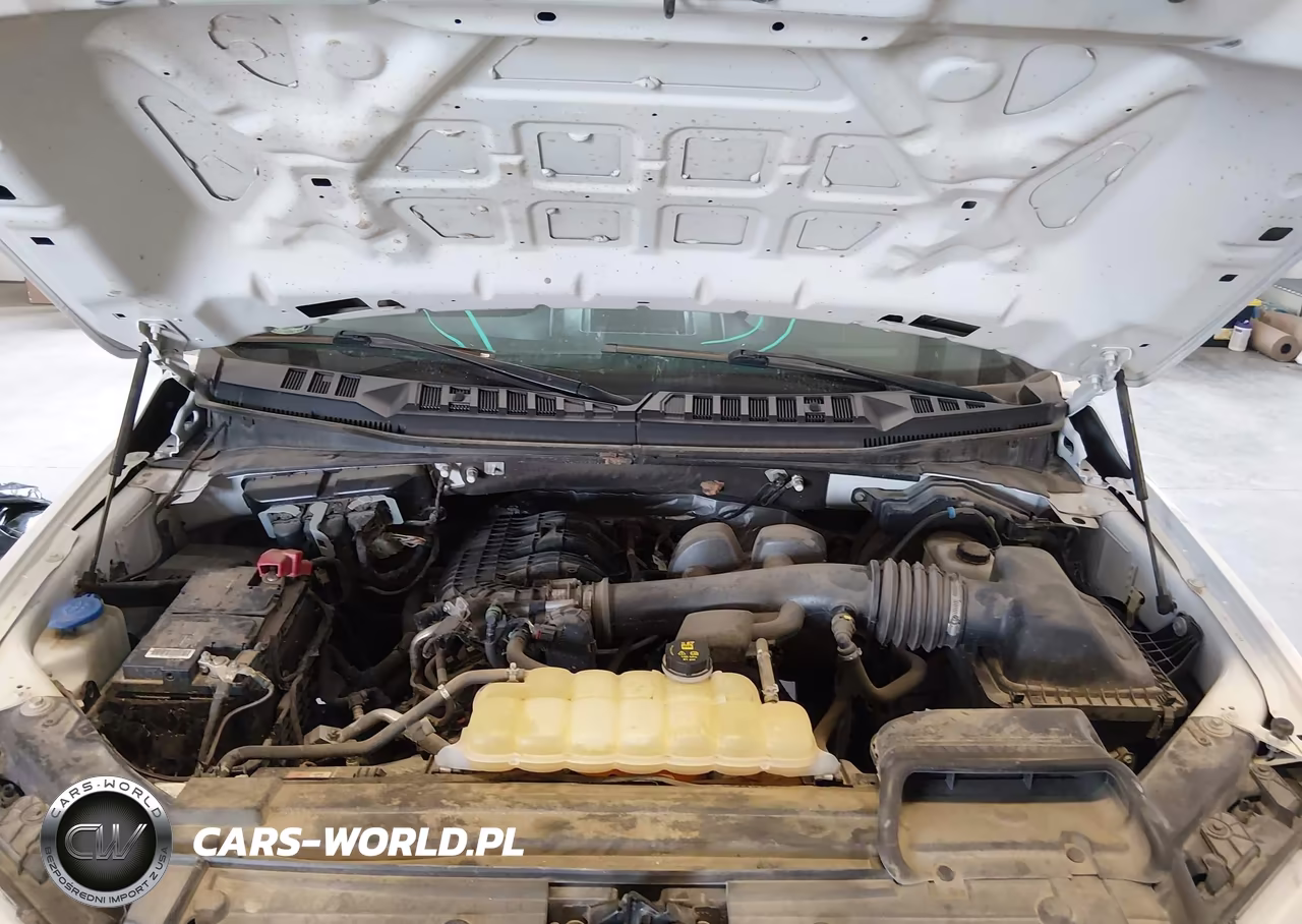 2020 Ford F-150 Xl VIN:1FTEW1EB8LKE82021 - 10