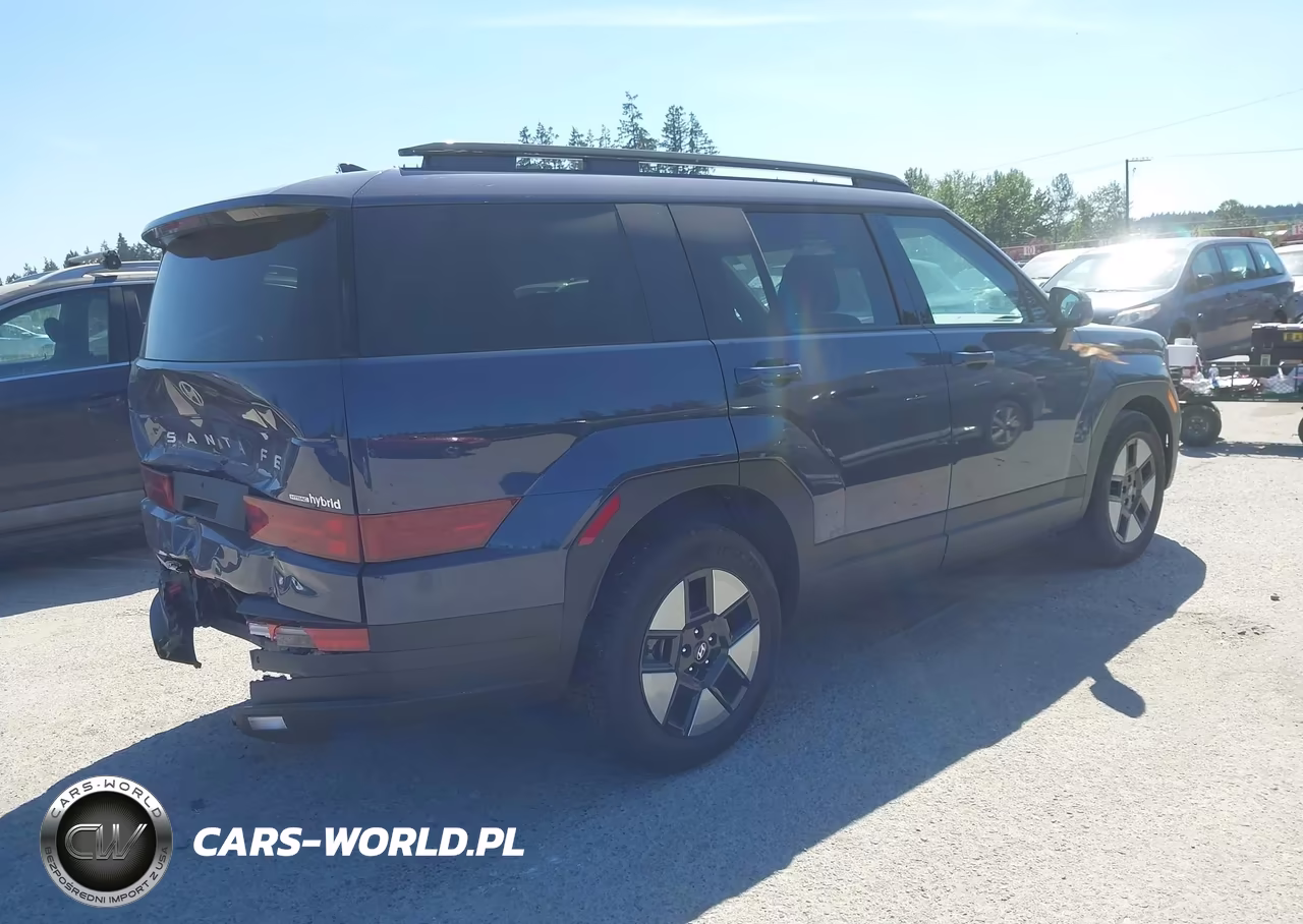 2025 Hyundai Santa Fe Hybrid Sel VIN:5NMP2DG10SH022243 - 4