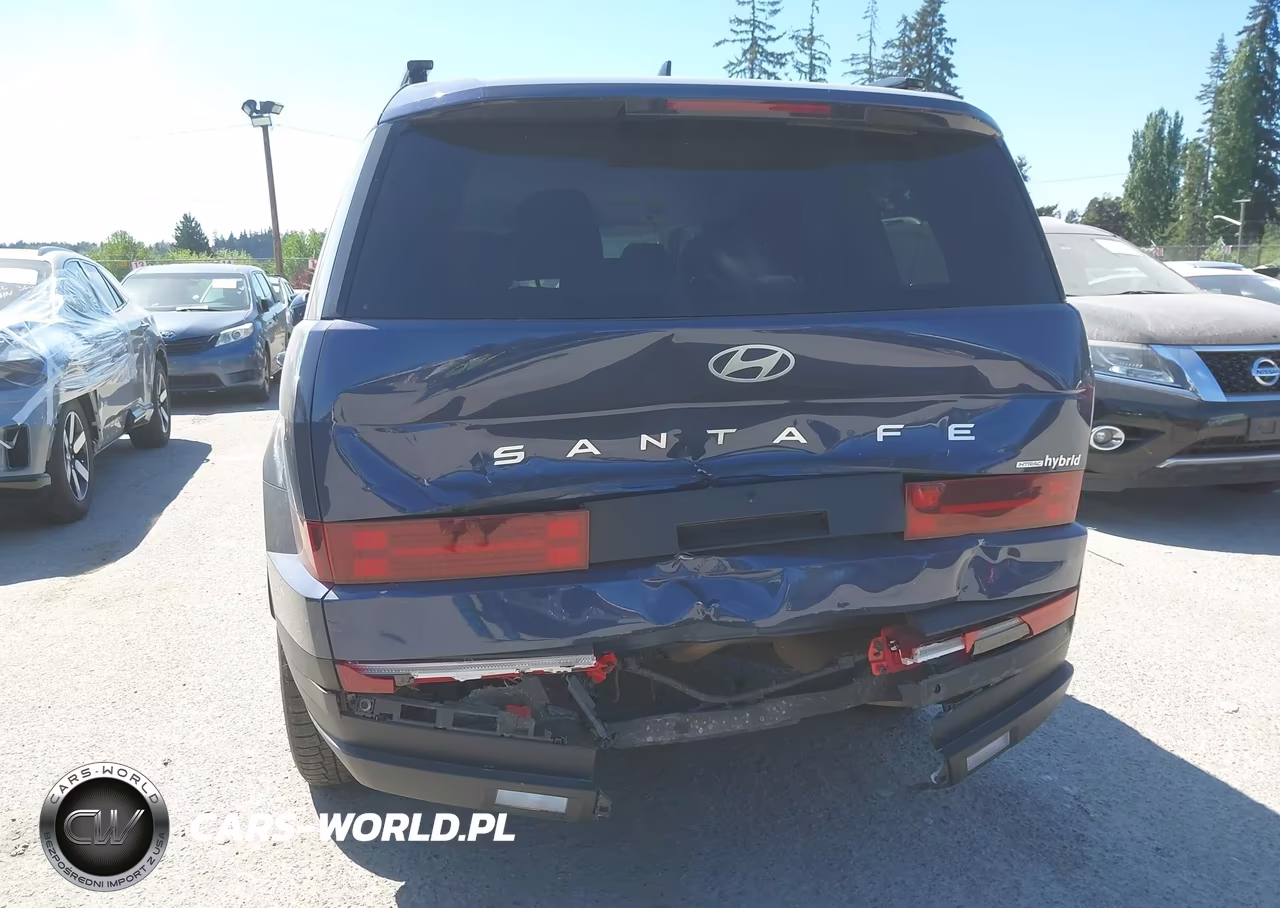 2025 Hyundai Santa Fe Hybrid Sel VIN:5NMP2DG10SH022243 - 6
