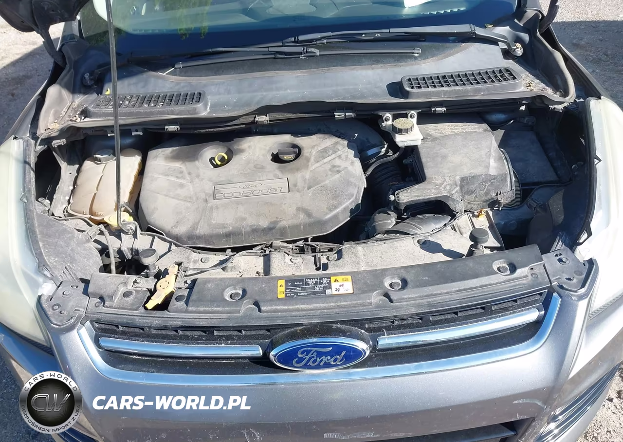 2013 Ford Escape Sel VIN:1FMCU0H99DUC62937 - 10