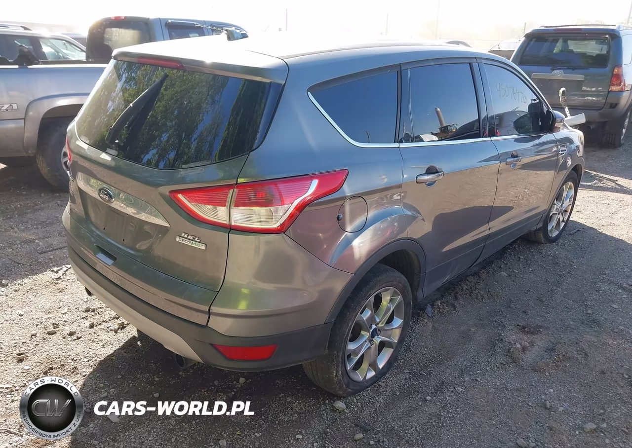 2013 Ford Escape Sel VIN:1FMCU0H99DUC62937 - 4