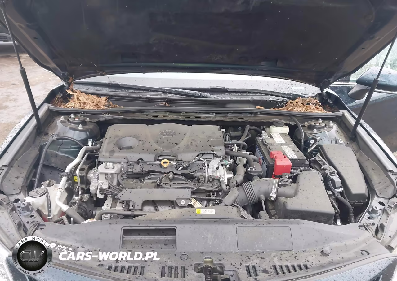 2018 Toyota Camry Se VIN:4T1B11HK9JU642885 - 10