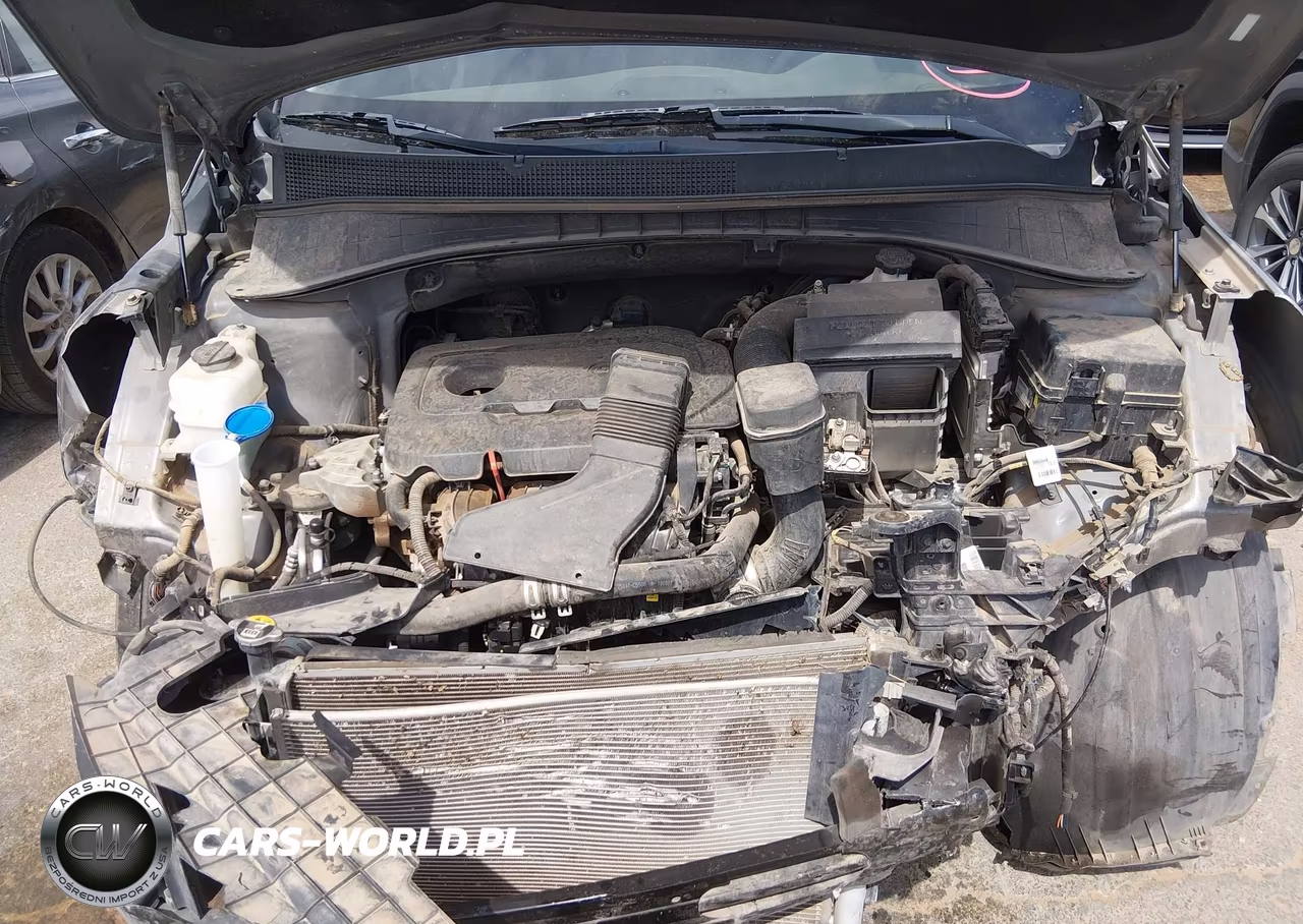 2019 Kia Sorento 2.4L Lx VIN:5XYPG4A38KG541496 - 10
