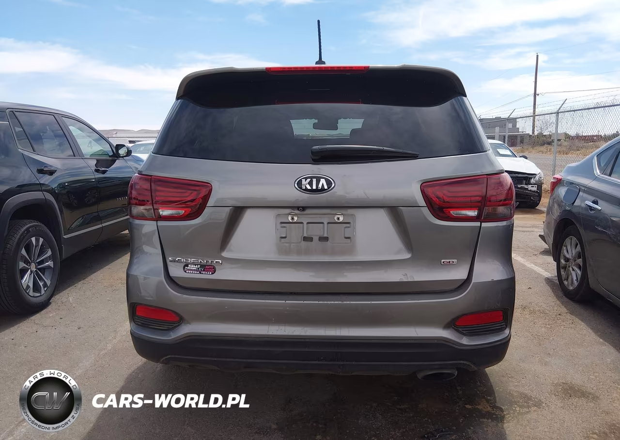 2019 Kia Sorento 2.4L Lx VIN:5XYPG4A38KG541496 - 17