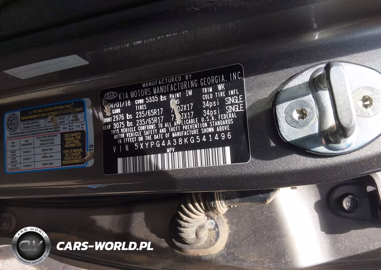 2019 Kia Sorento 2.4L Lx VIN:5XYPG4A38KG541496 - 9