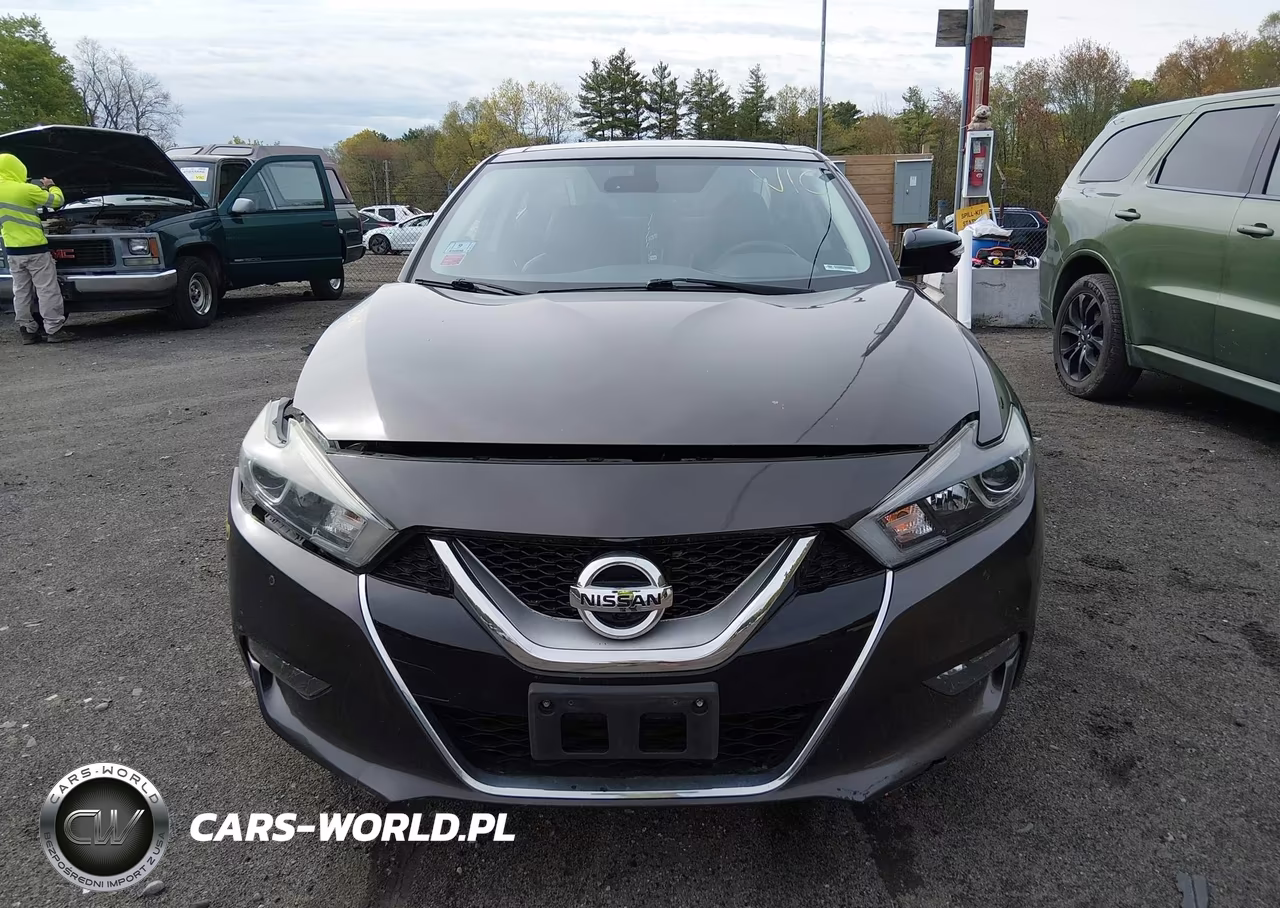 2016 Nissan Maxima 3.5 Platinum VIN:1N4AA6AP7GC379917 - 13