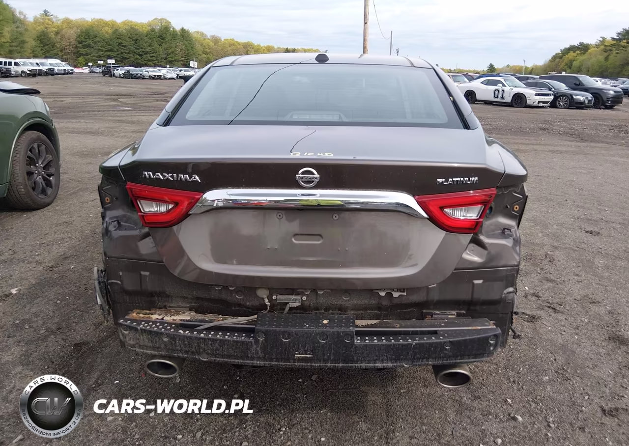 2016 Nissan Maxima 3.5 Platinum VIN:1N4AA6AP7GC379917 - 17