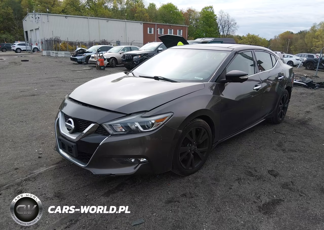 2016 Nissan Maxima 3.5 Platinum VIN:1N4AA6AP7GC379917 - 2