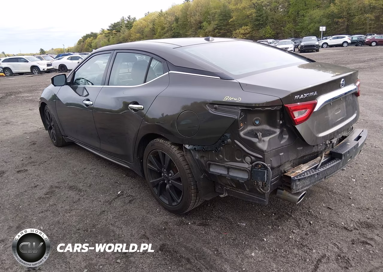 2016 Nissan Maxima 3.5 Platinum VIN:1N4AA6AP7GC379917 - 3