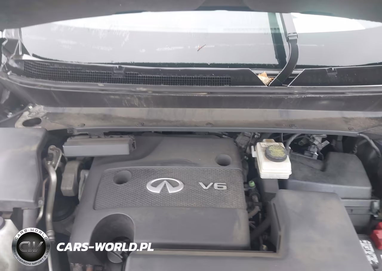 2014 Infiniti Qx60 VIN:5N1AL0MM7EC536180 - 10