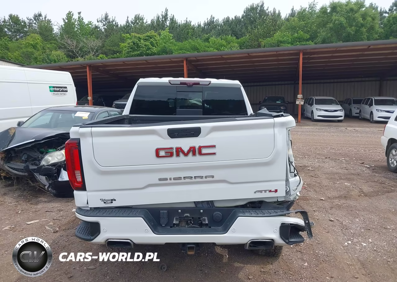 2020 GMC Sierra 1500 4Wd Short Box At4 VIN:3GTP9EELXLG398726 - 16