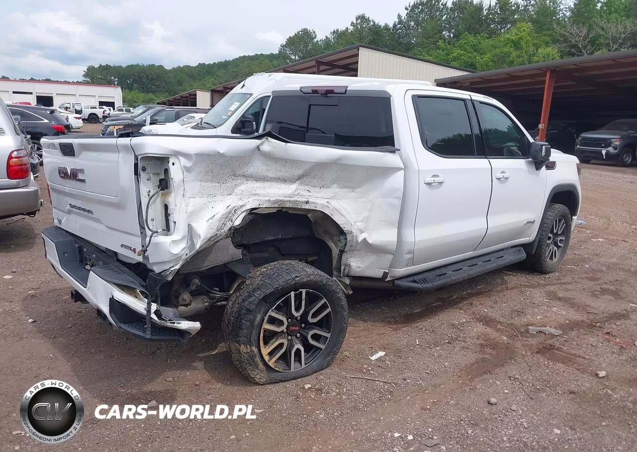 2020 GMC Sierra 1500 4Wd Short Box At4 VIN:3GTP9EELXLG398726 - 4