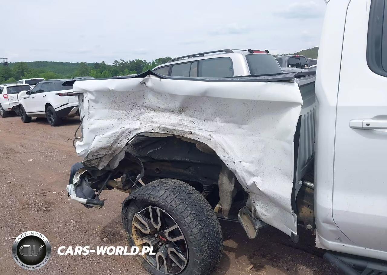 2020 GMC Sierra 1500 4Wd Short Box At4 VIN:3GTP9EELXLG398726 - 6