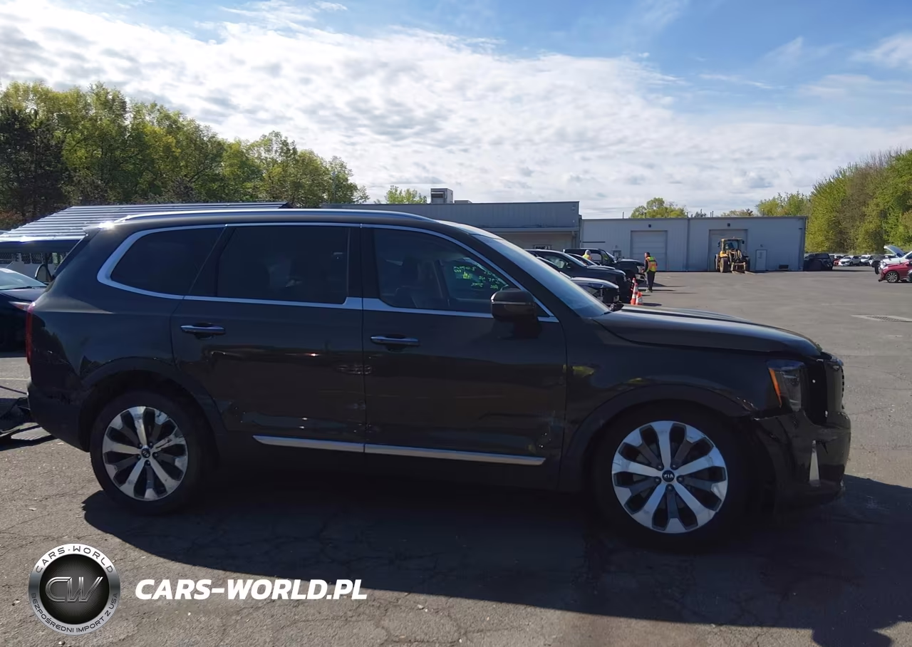 2021 Kia Telluride S VIN:5XYP6DHC5MG185651 - 13