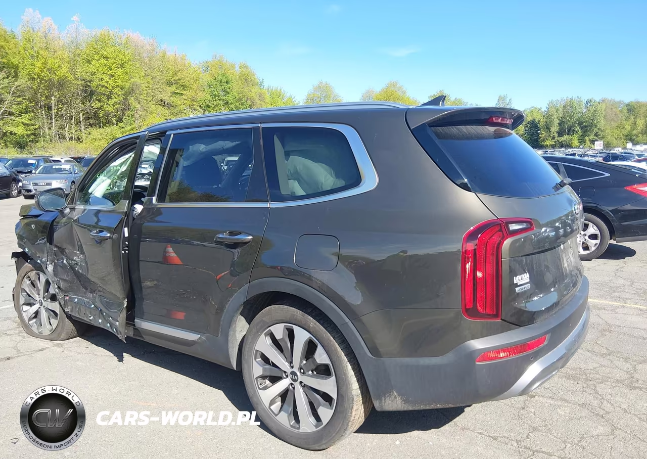 2021 Kia Telluride S VIN:5XYP6DHC5MG185651 - 3