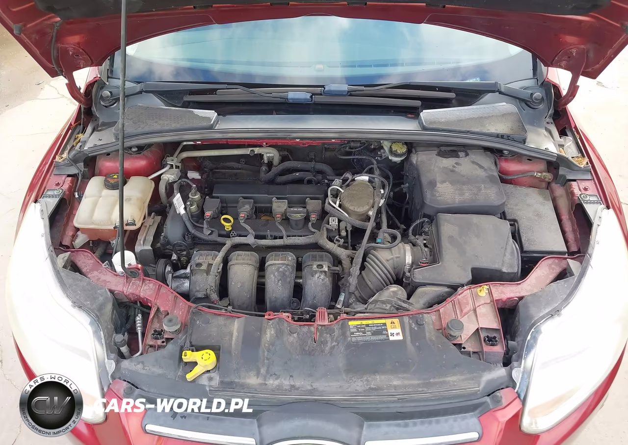 2014 Ford Focus Se VIN:1FADP3F29EL109138 - 10