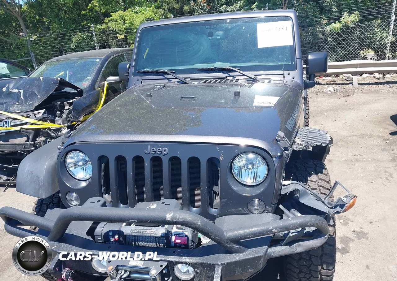 2016 Jeep Wrangler Unlimited Black Bear VIN:1C4BJWDG3GL178672 - 12
