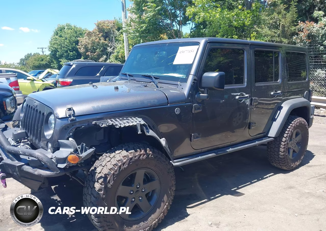 2016 Jeep Wrangler Unlimited Black Bear VIN:1C4BJWDG3GL178672 - 14