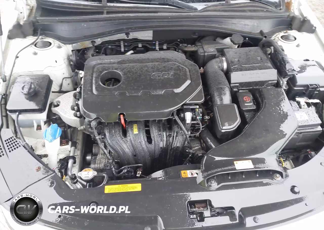 2017 Kia Optima Lx VIN:KNAGT4L39H5147772 - 10