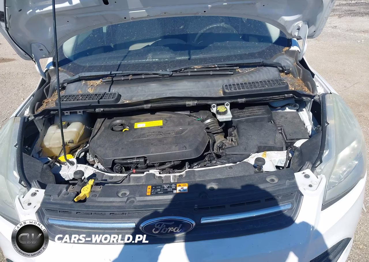 2015 Ford Escape Se VIN:1FMCU0GX6FUB31466 - 10