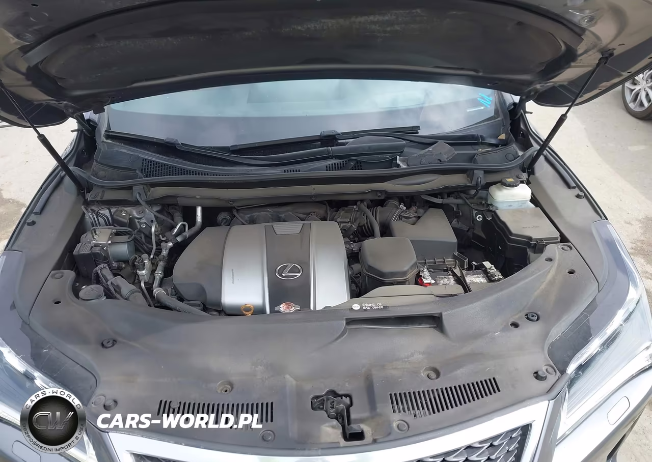 2019 Lexus Rx 350 F Sport VIN:2T2BZMCA9KC193358 - 10