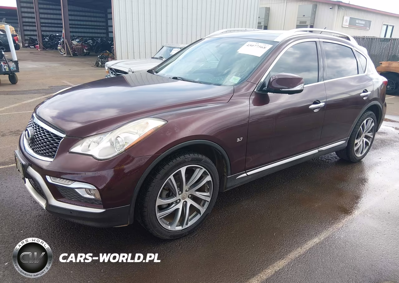2017 Infiniti Qx50 VIN:JN1BJ0RP3HM389228 - 2