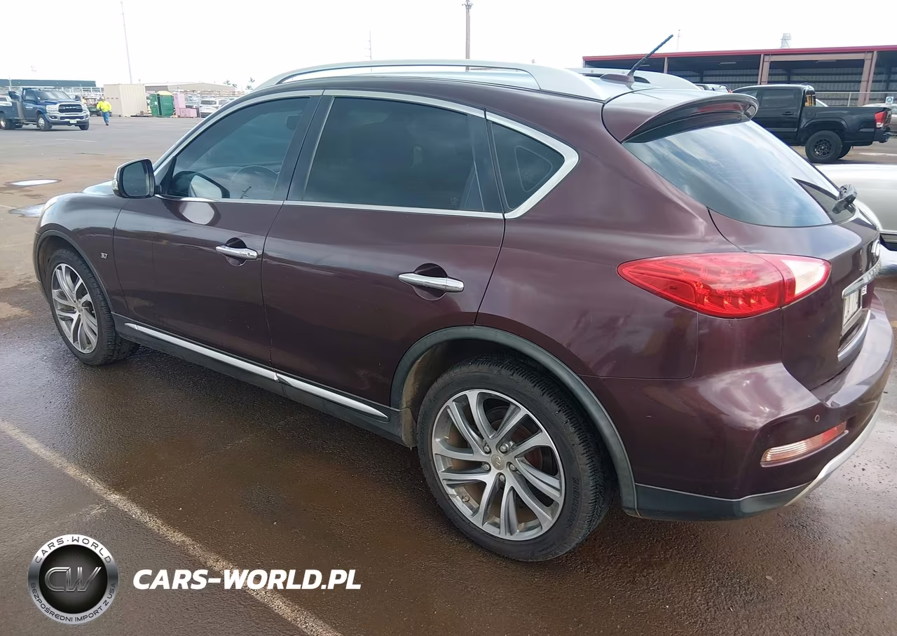 2017 Infiniti Qx50 VIN:JN1BJ0RP3HM389228 - 3
